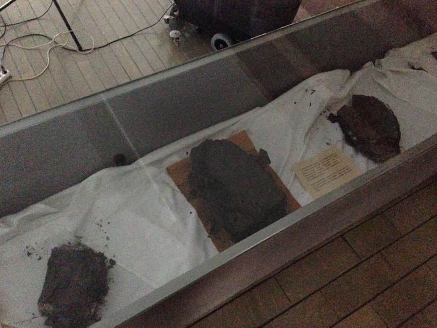 A group of brown objects on a white surface
AI-generated content may be incorrect. A group of brown objects on a white surface
AI-generated content may be incorrect.