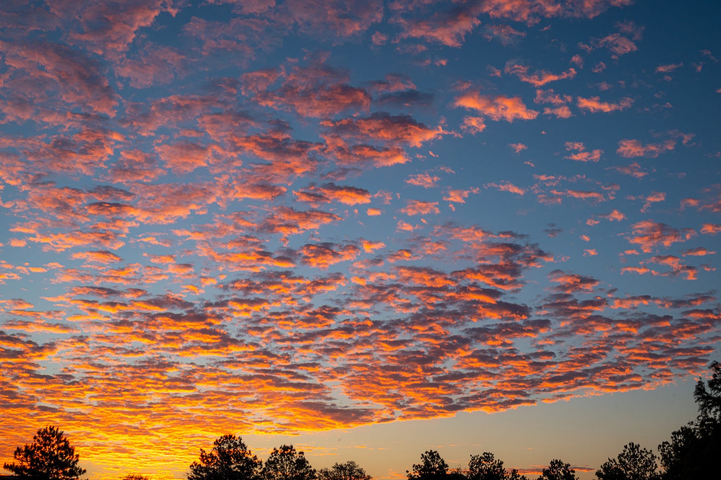 A sunset with the sun brightening the sky in the left lower corner behind clouds that have turned shades of orange scattered across a blue sky
