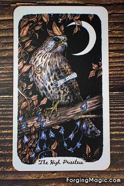 Oak, Ash & Thorn High Priestess
