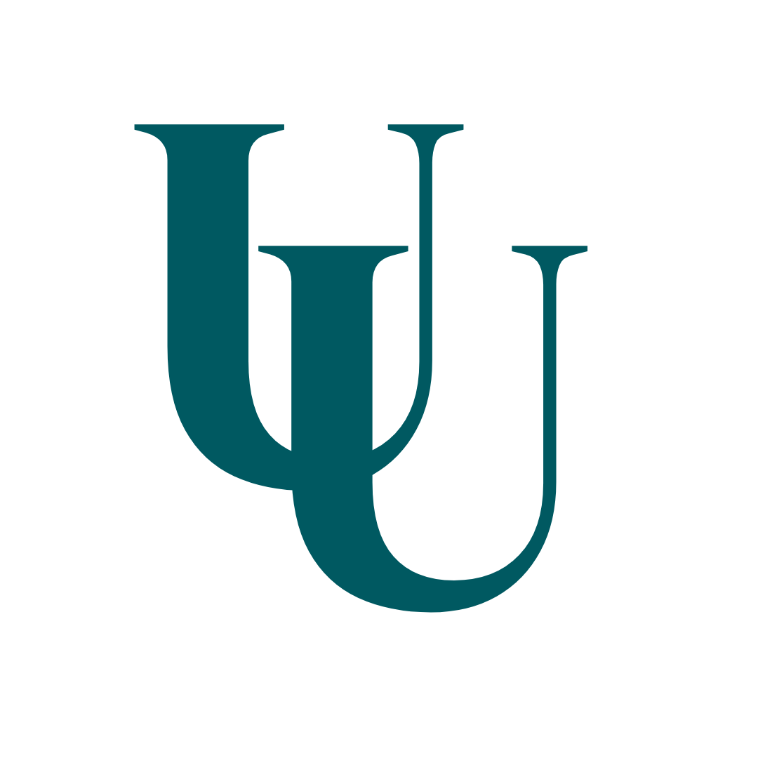 The Unseen and The Unsaid