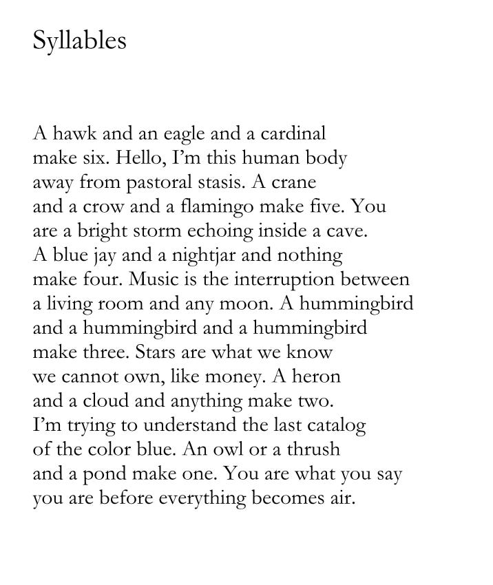 Syllables  A hawk and an eagle and a cardinal make six. Hello, I’m this human body away from pastoral stasis. A crane and a crow and a flamingo make five. You are a bright storm echoing inside a cave. A blue jay and a nightjar and nothing make four. Music is the interruption between a living room and any moon. A hummingbird and a hummingbird and a hummingbird make three. Stars are what we know we cannot own, like money. A heron and a cloud and anything make two. I’m trying to understand the last catalog of the color blue. An owl or a thrush and a pond make one. You are what you say you are before everything becomes air.