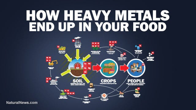 Health Ranger releases stunning infographic showing how heavy metals ...