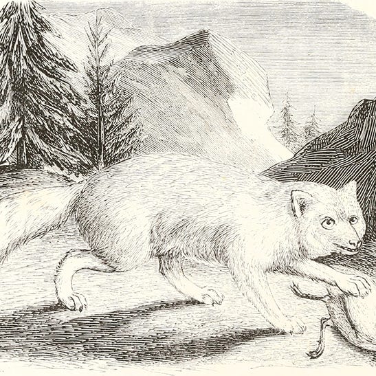 Letters from the Abysmal