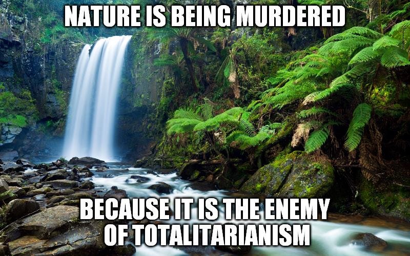 nature.jpg