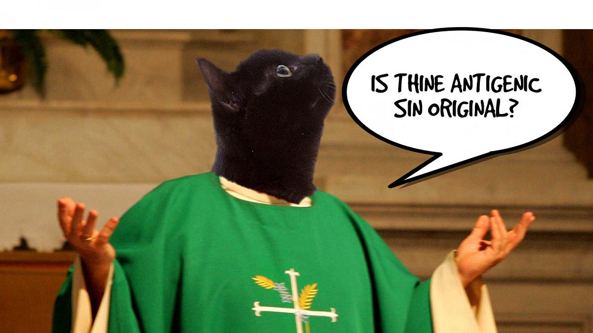 boriquagato.substack.com