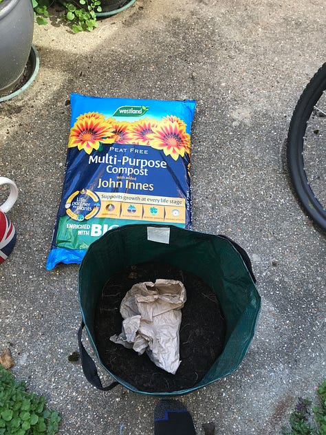 seed potatoes, compost and a growing bucket