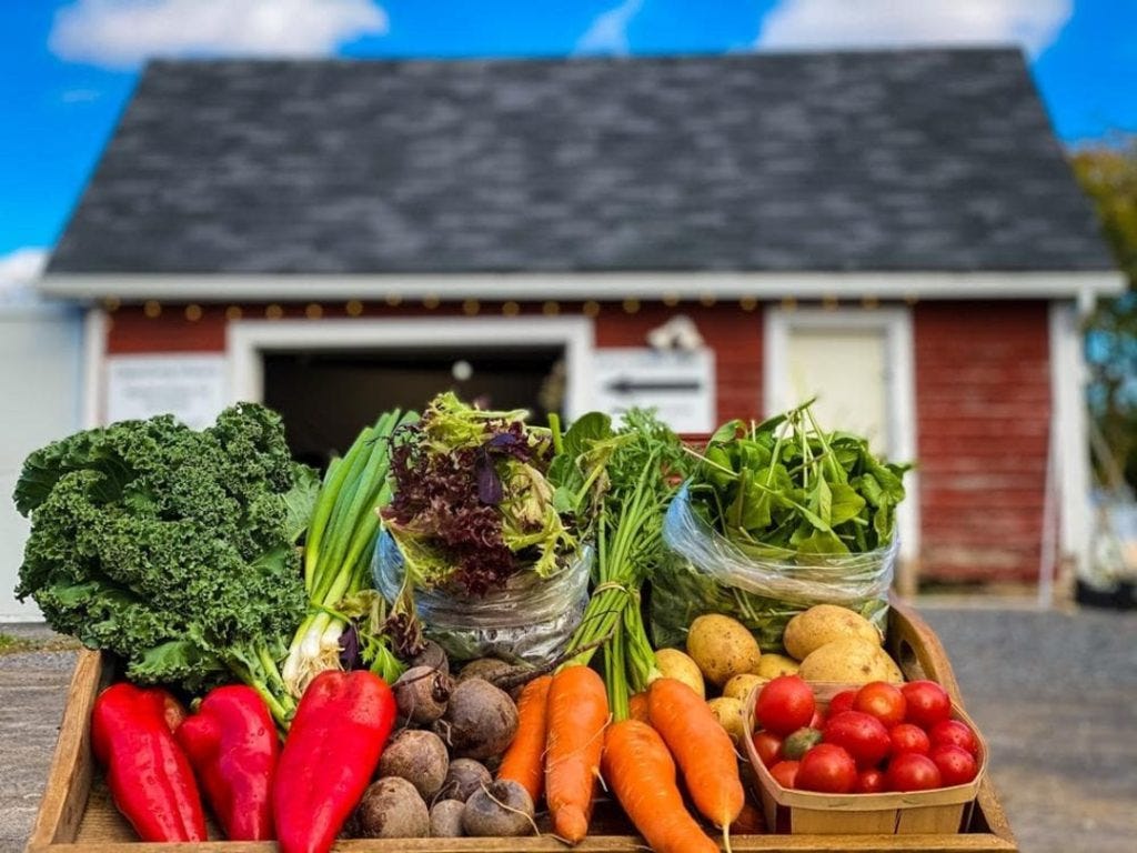 Unique activities in Ottawa - Ottawa farm Fresh