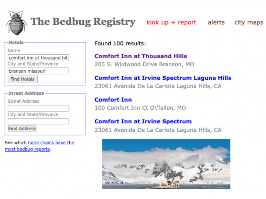 Use This Tool to Check Your Hotel for Bed Bugs