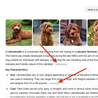 ☕🤖 Tutorial: How to Get Your Content Ranked on ChatGPT & AI-Powered Summaries