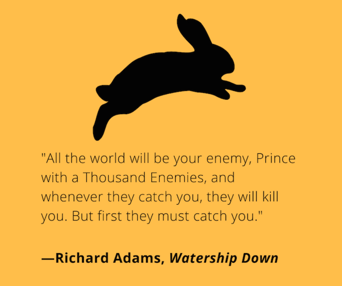 Book Review Contest Runner Up: Watership Down by Richard Adams, image size:1200x1006