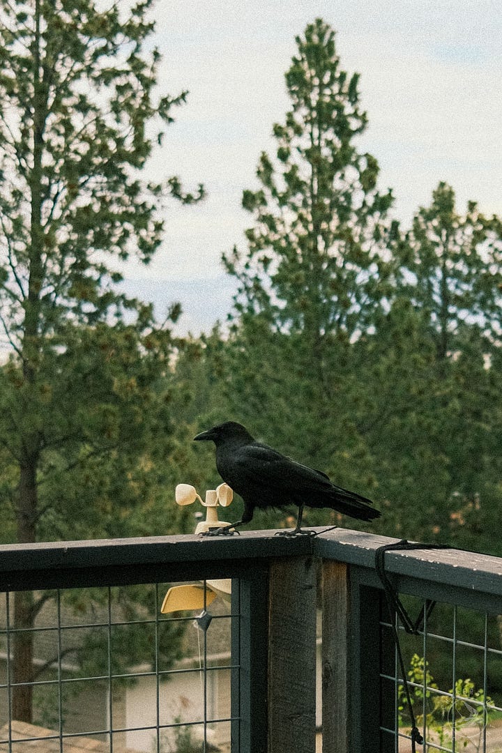 Fuji photographs of life in Montana by Tyler Knott Gregson