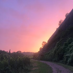 🌕 Nidrā_Soften to Restore