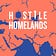 Hostile Homelands: a newsletter about India and Israel