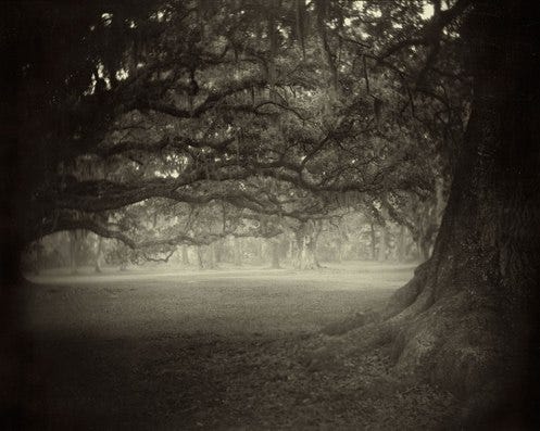 Sally_Mann_Deep_South_03