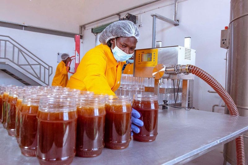 An employee at Central Park Bees' factory.