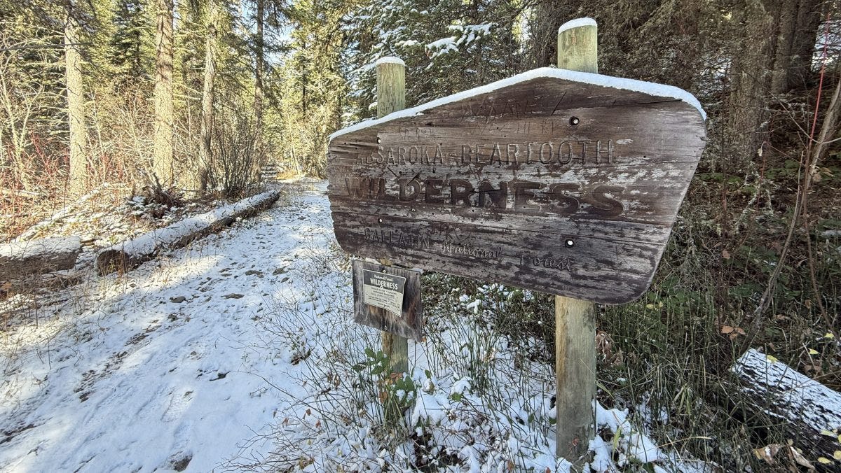 A sign in the woods. A sign in the woods.