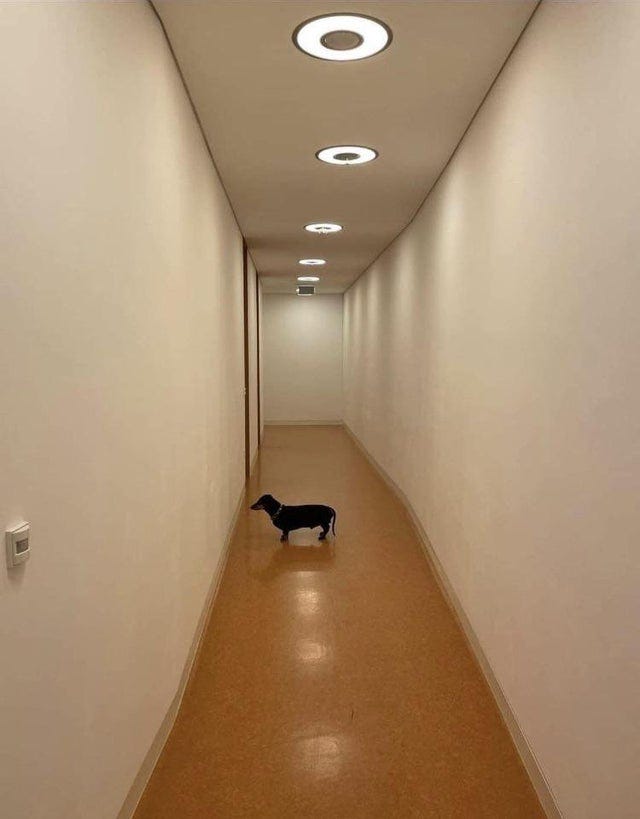 r/hmmm - hmmm