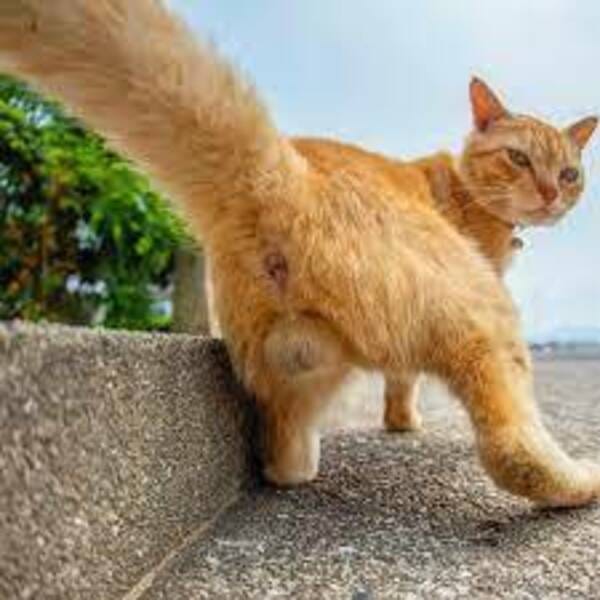 hahahah Bye a bye good bye noob a bye hahahah Bye a bye good bye noob a bye