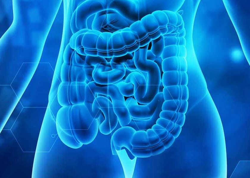 What Are the Keys to Optimal Digestion?