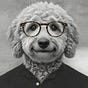 Yaniv Kerem MD's avatar