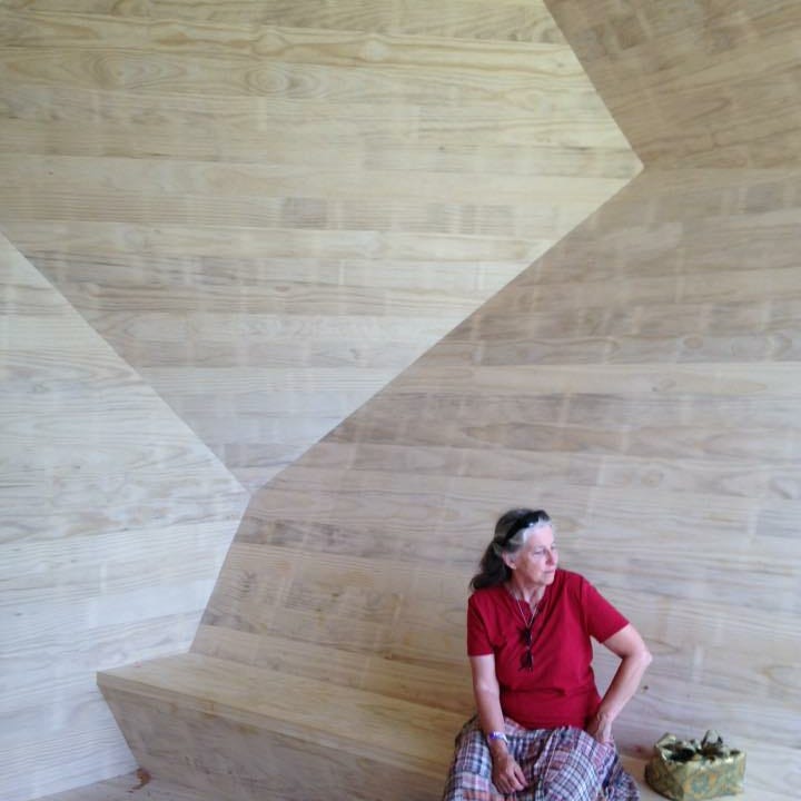 The Optimistic Activist