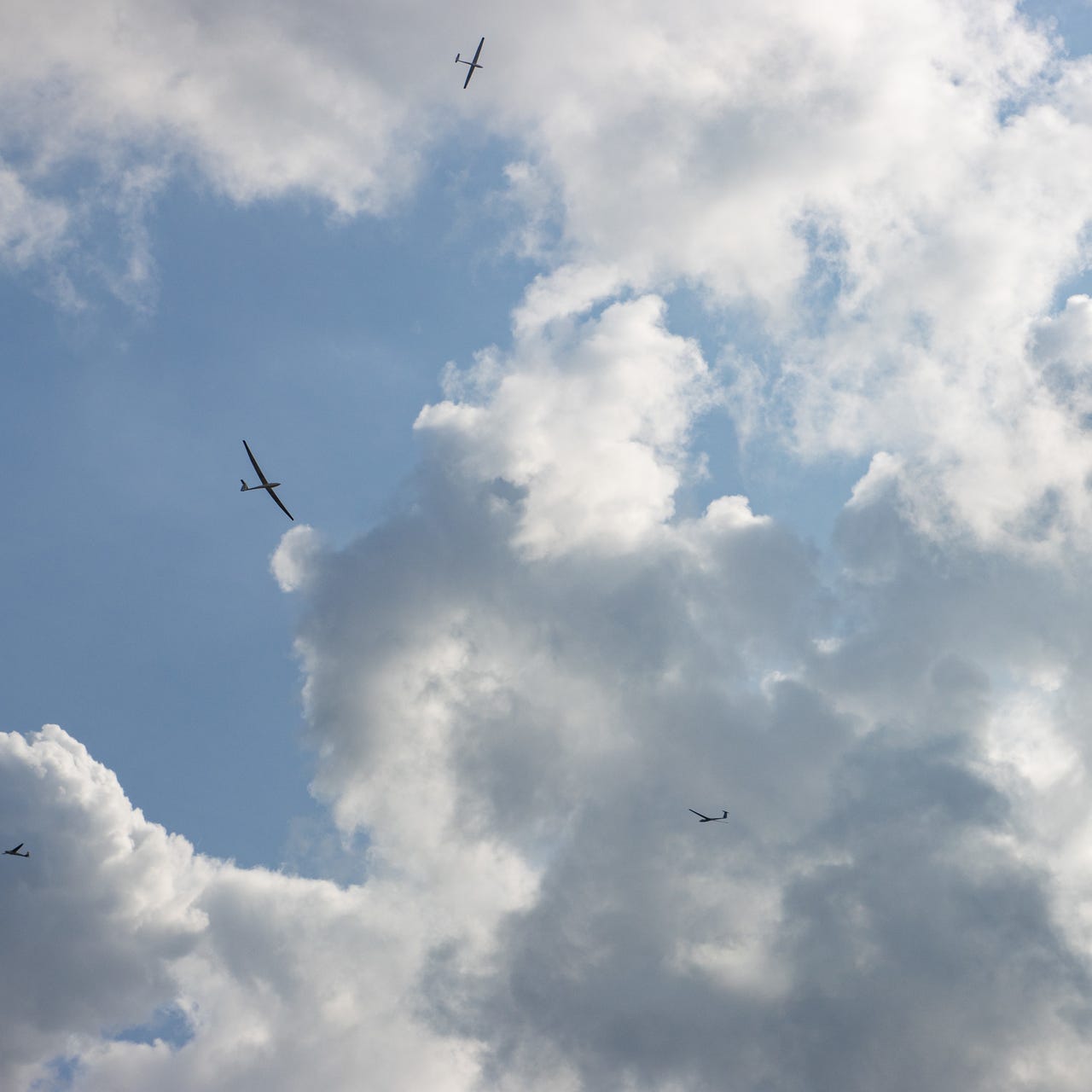 Let's talk some goth and industrial politics.