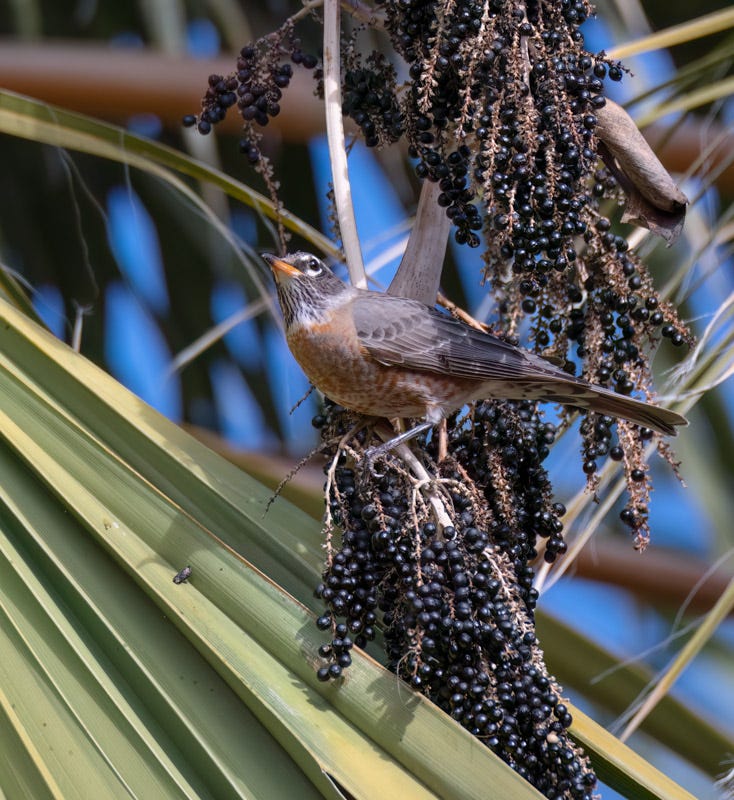 230104-misc-230-Edit.jpg 230104-misc-230-Edit.jpg