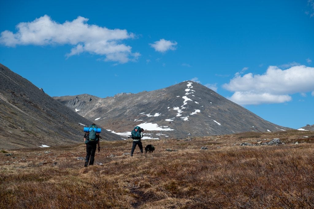 Two hikers with large packs and a dark dog cross open, rust-colored tundra toward a rounded, snow-flecked peak under a bright blue sky.