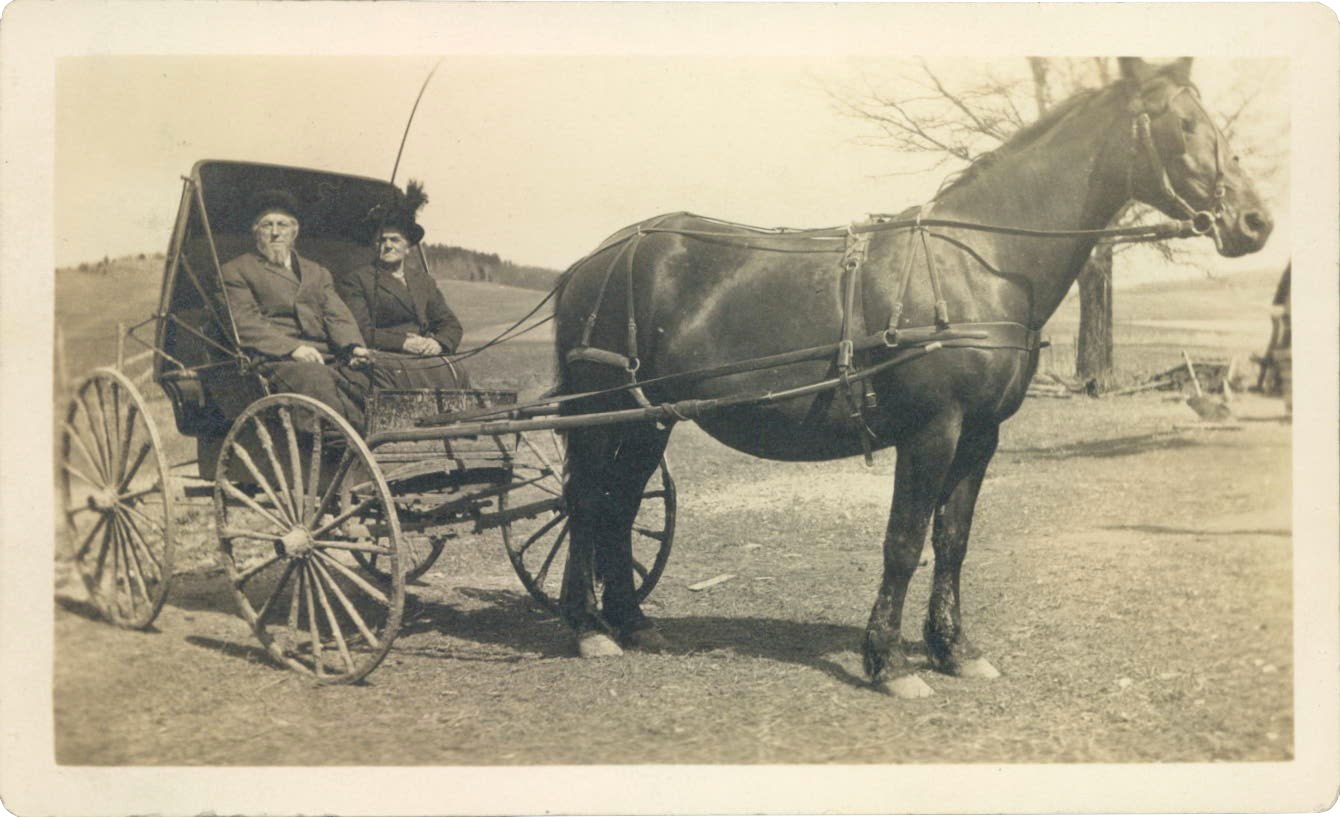 Paul Ries (1846-1934) and his wife, Sophia Clausen (1839-1925) in a horse-drawn carriage, the rolling hills of a rural farm or region.