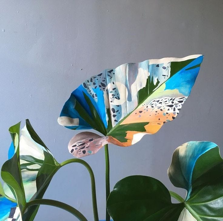 Modern creative woman of the Day: Sophie Parker, botanical artist