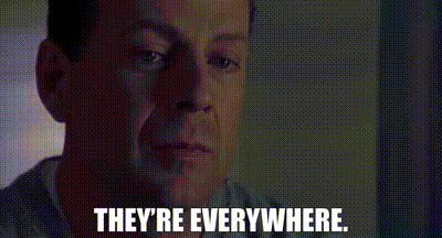 Image of They're everywhere.