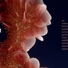 The New Human Creative Hackathon