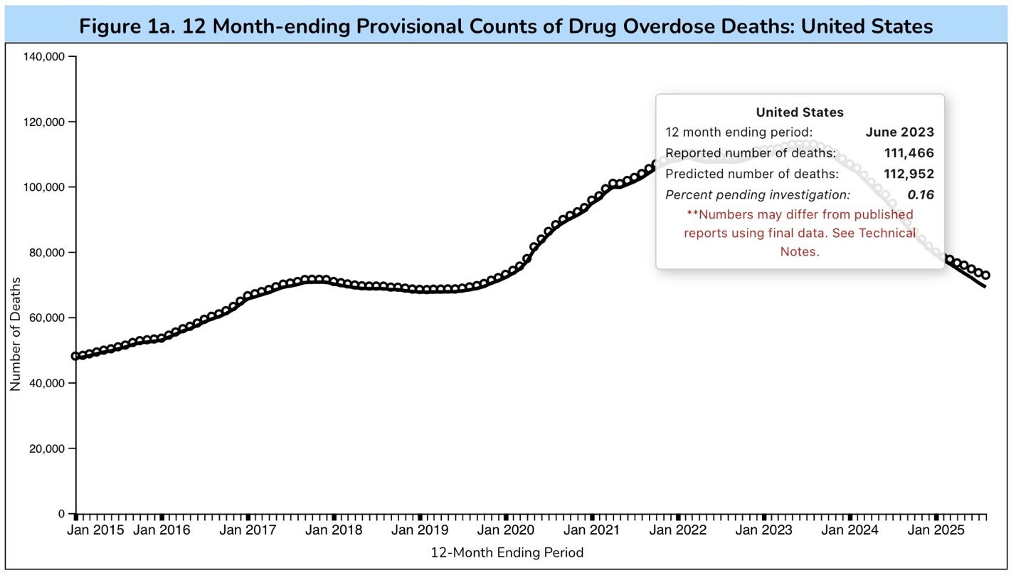 A graph showing the number of drug overdose deaths

Description automatically generated