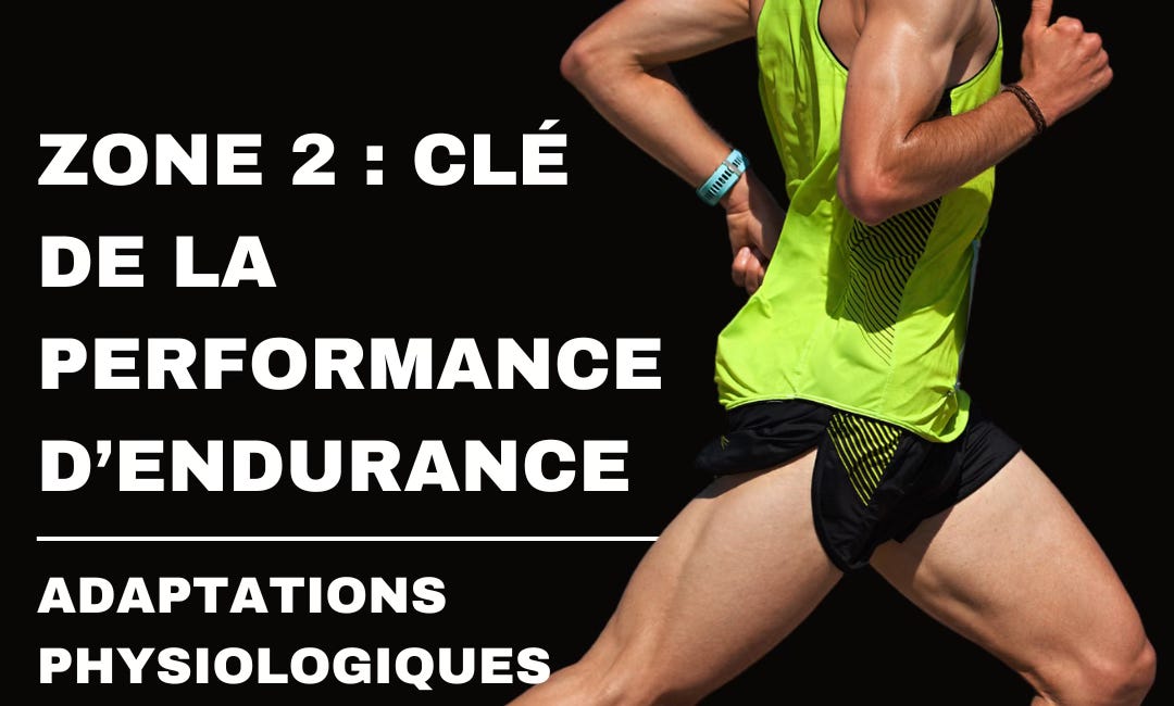 Zone 2 : Clé de la performance d’endurance – Adaptations physiologiques et applications pratiques