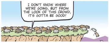 Herd Mentality — Champions 101 ...