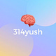 314yush's mind