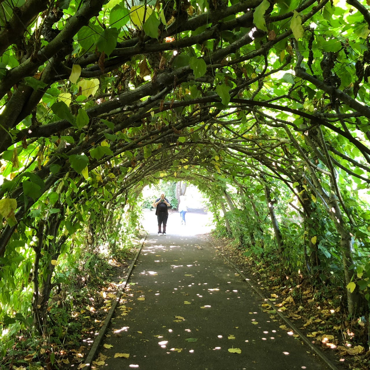 Am up to stuff - musings by Alicia Colson