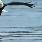 Nice Time! Republicans Lose Supreme Court Seat In Wisconsin, Feel Double-Digit Pain In Georgia