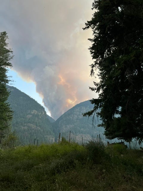 billowing smoke of a wildfire