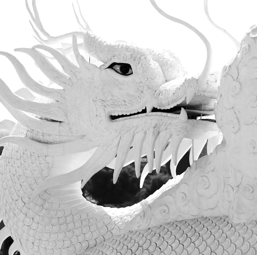 white dragon head wall decor
