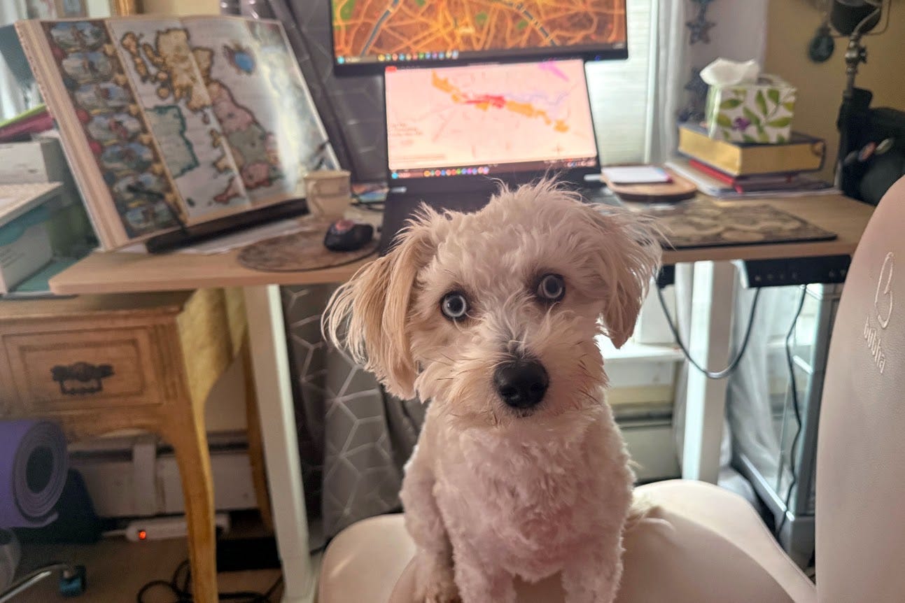 GIS and Maps  - The Mapmaker’s Manifesto: 2026 is the year we finally let our maps and our minds breathe again.