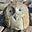 Wandering Bird's avatar