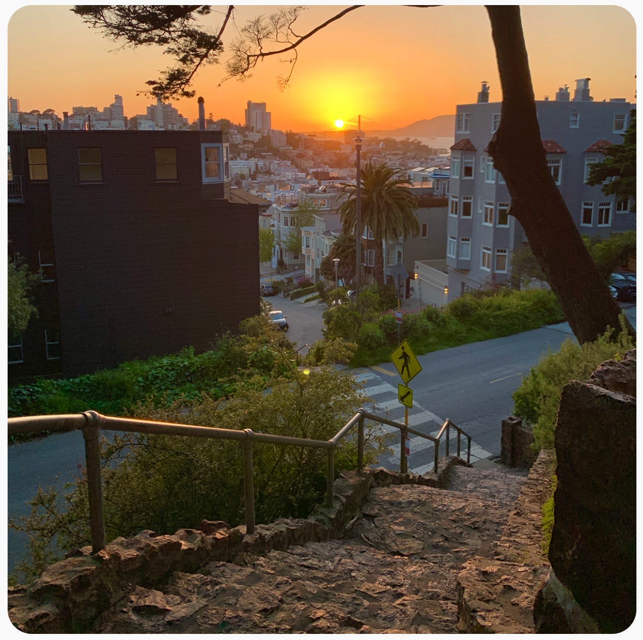 Sunset in San Fransisco Sunset in San Fransisco