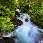Senior Cap-and-Invest Offsets Specialist at Washington Department of Ecology