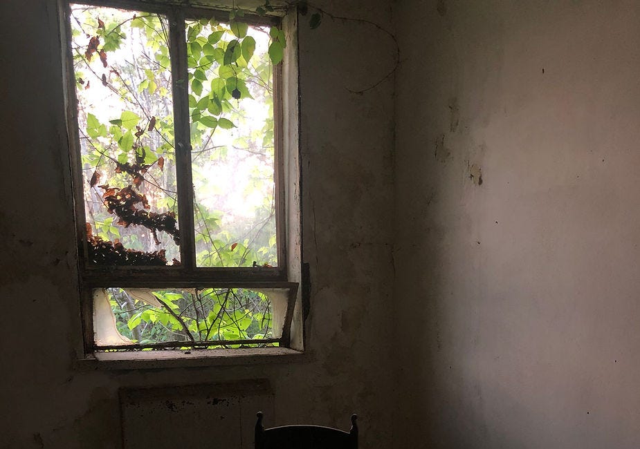 Windows, The Vale of Soul-Making & Other Poetry