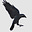 Nadine C.'s avatar