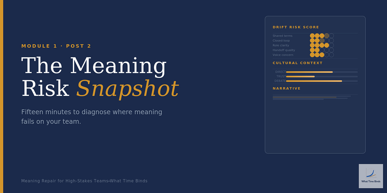 The Meaning Risk Snapshot