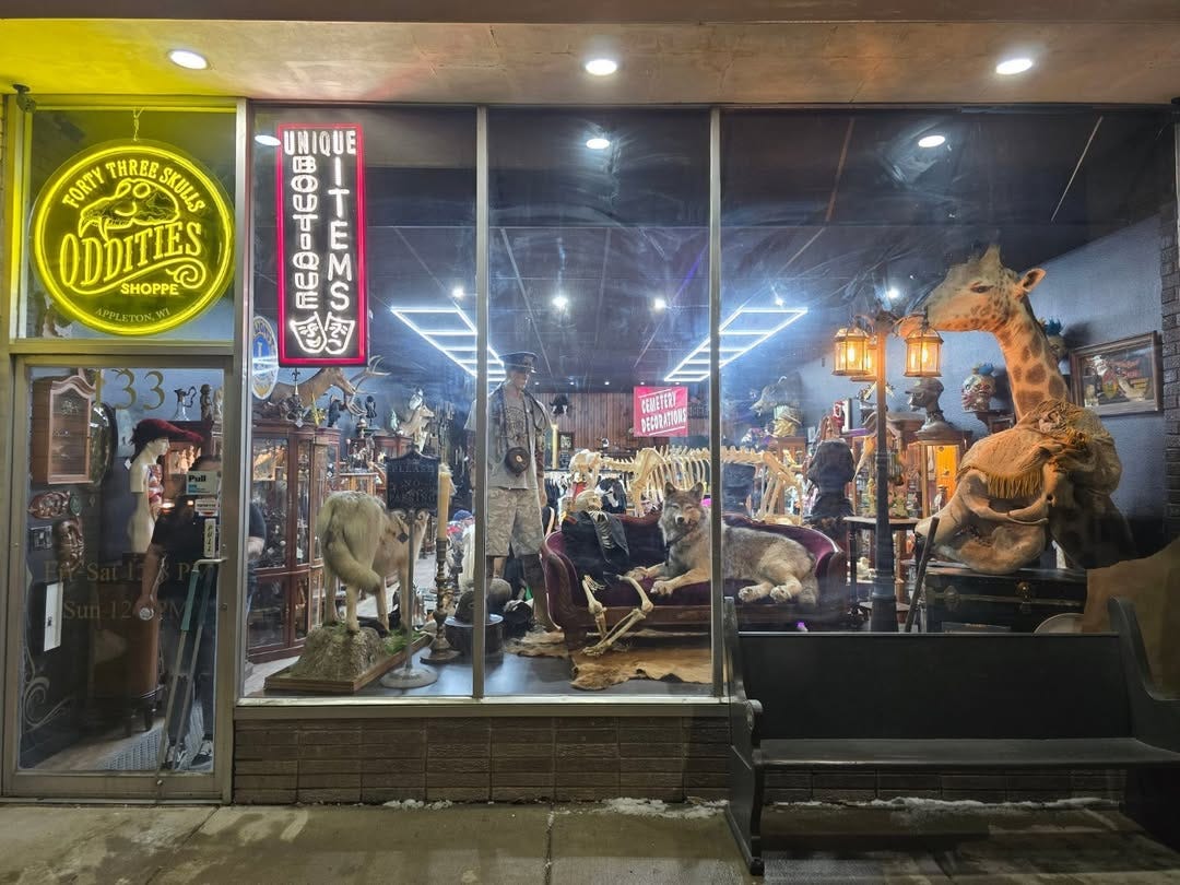 Forty Three Skulls oddities shop in Appleton