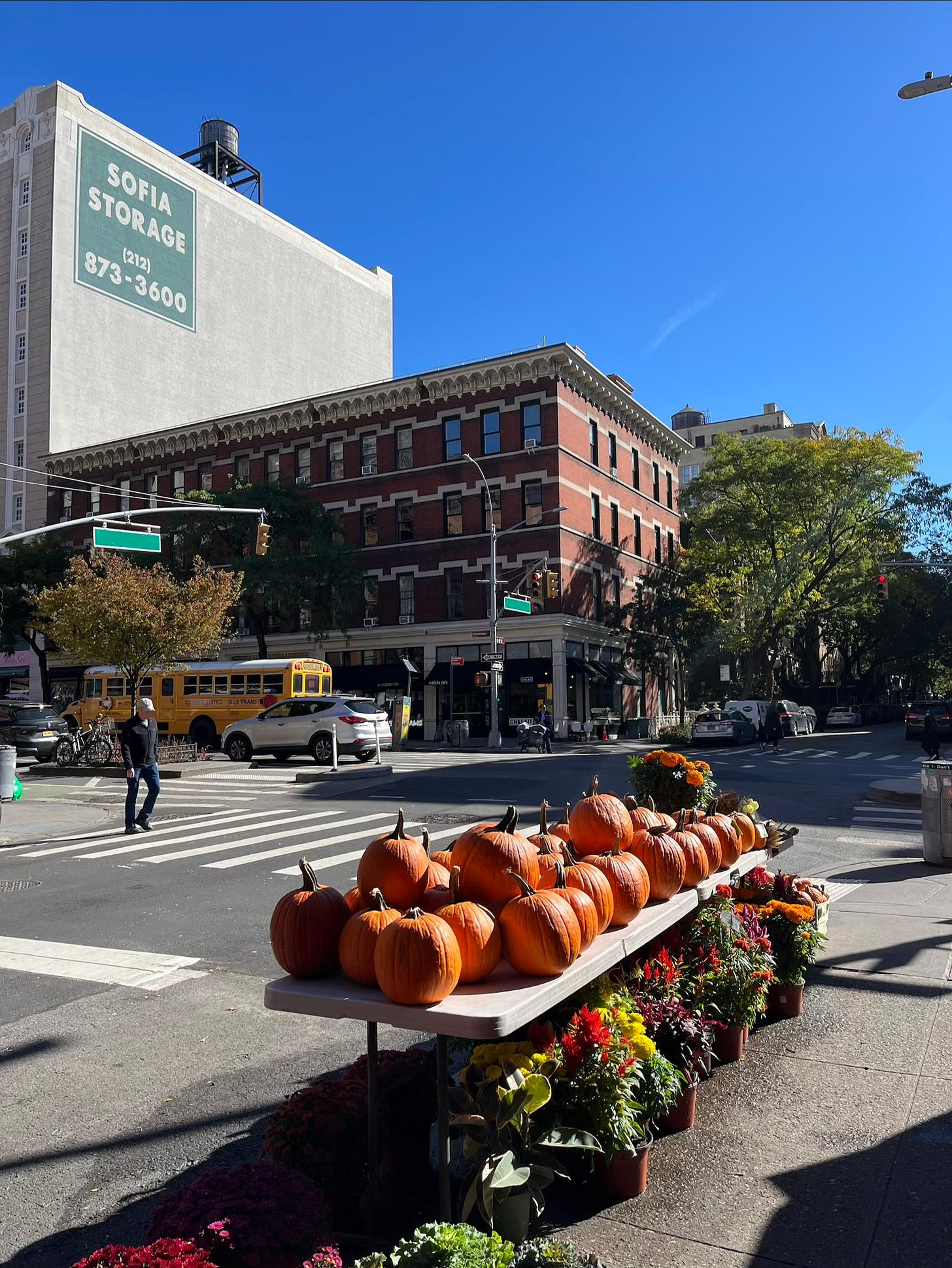 Vista urbana su un incrocio newyorkese. Il cielo è limpido, gli alberi ancora verdi e sul marciapiede sono disposte in bella mostra tante zucche di un arancione acceso.