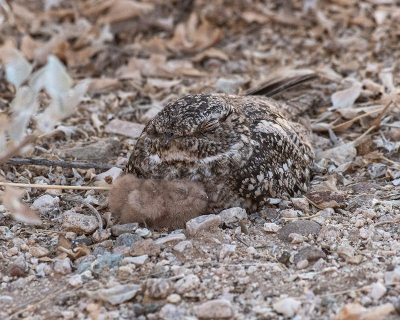 20200617_LN-38.jpg 20200617_LN-38.jpg